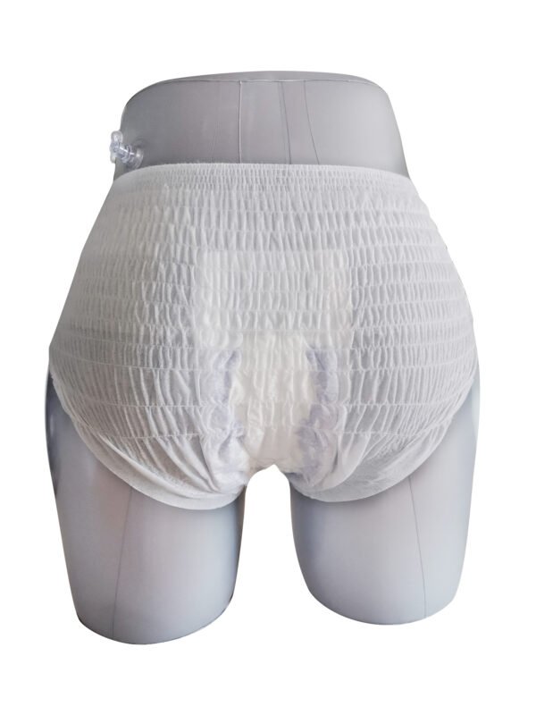 Free Sample New Arrival Wholesale Culottes Menstruelles Cotton Period Panties Disposable Breathable Period Panties