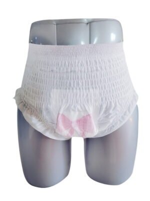 Women Menstrual OEM Discount Premium Wholesale Men Underwear Incontinence Pull up Disposable for Panties Adult Diaper Pants