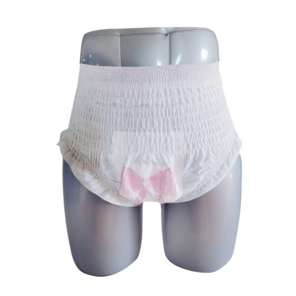 Women Menstrual OEM Discount Premium Wholesale Men Underwear Incontinence Pull up Disposable for Panties Adult Diaper Pants