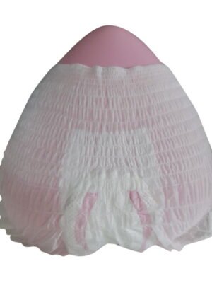 Premium Disposable Menstrual Panty Super Absorbent & Breathable Overnight Maternity Sanitary Panty-Wholesale